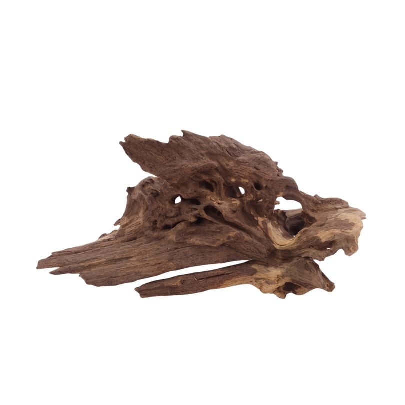 M Honey Comb Wurzel Nr.3783 Holz Deko Aquascaping