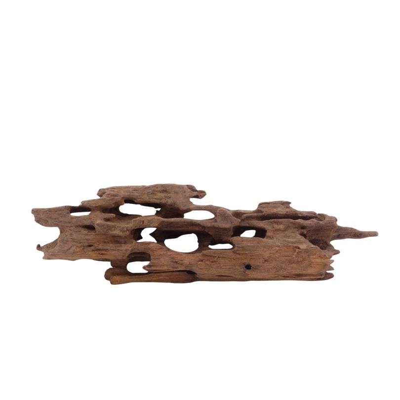 M Honey Comb Wurzel Nr.3784 Holz Deko Aquascaping