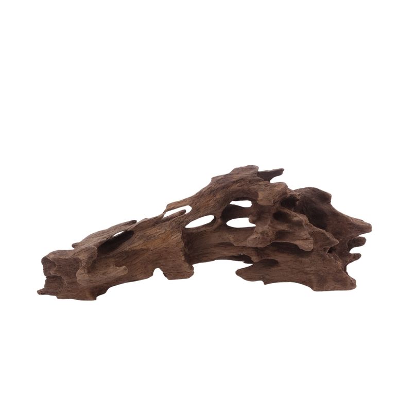 M Honey Comb Wurzel Nr.3788 Holz Deko Aquascaping