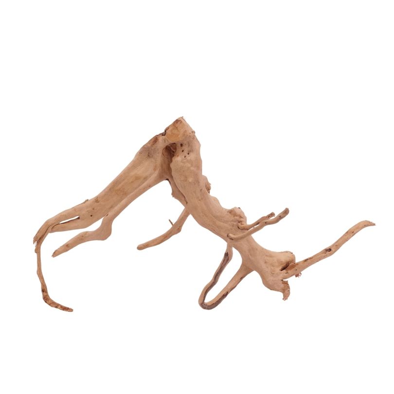 XL Moorkienwurzel Nr.3957 Fingerwurzel Echtholz Deko Aquascaping