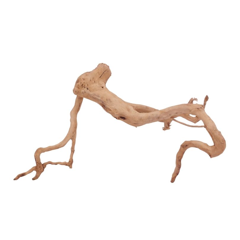 XL Moorkienwurzel Nr.3958 Fingerwurzel Echtholz Deko Aquascaping