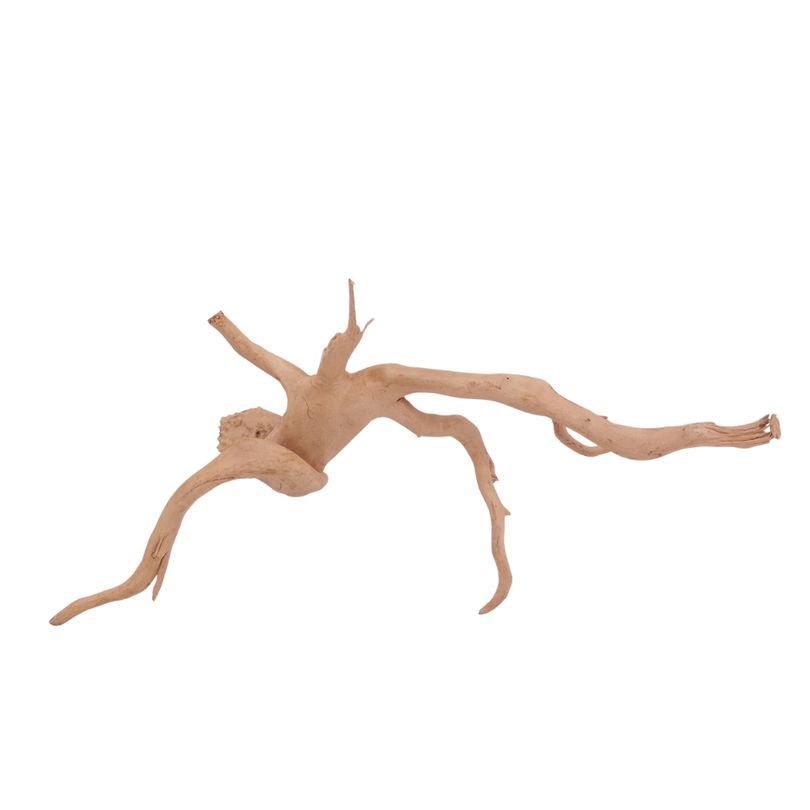 XL Moorkienwurzel Nr.3959 Fingerwurzel Echtholz Deko Aquascaping