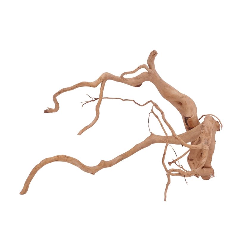 XL Moorkienwurzel Nr.3961 Fingerwurzel Echtholz Deko Aquascaping