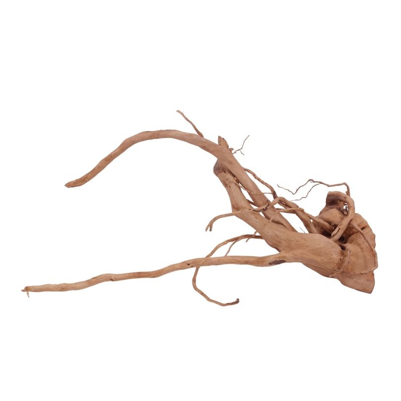 XL Moorkienwurzel Nr.3964 Fingerwurzel Echtholz Deko Aquascaping