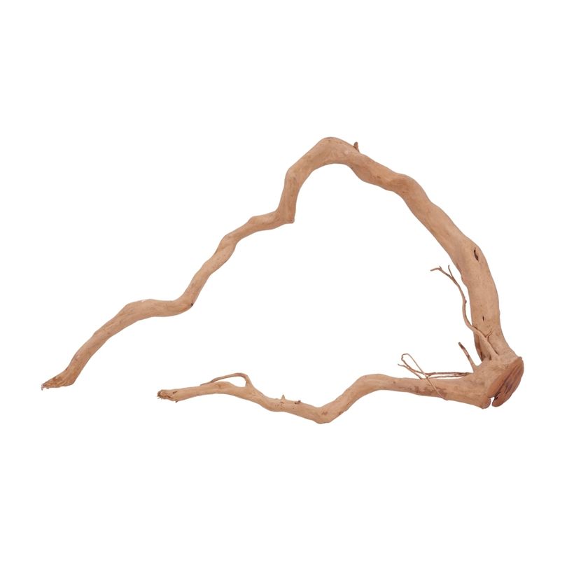 XL Moorkienwurzel Nr.3967 Fingerwurzel Echtholz Deko Aquascaping