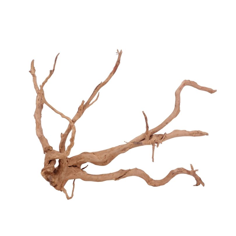 XL Moorkienwurzel Nr.3969 Fingerwurzel Echtholz Deko Aquascaping