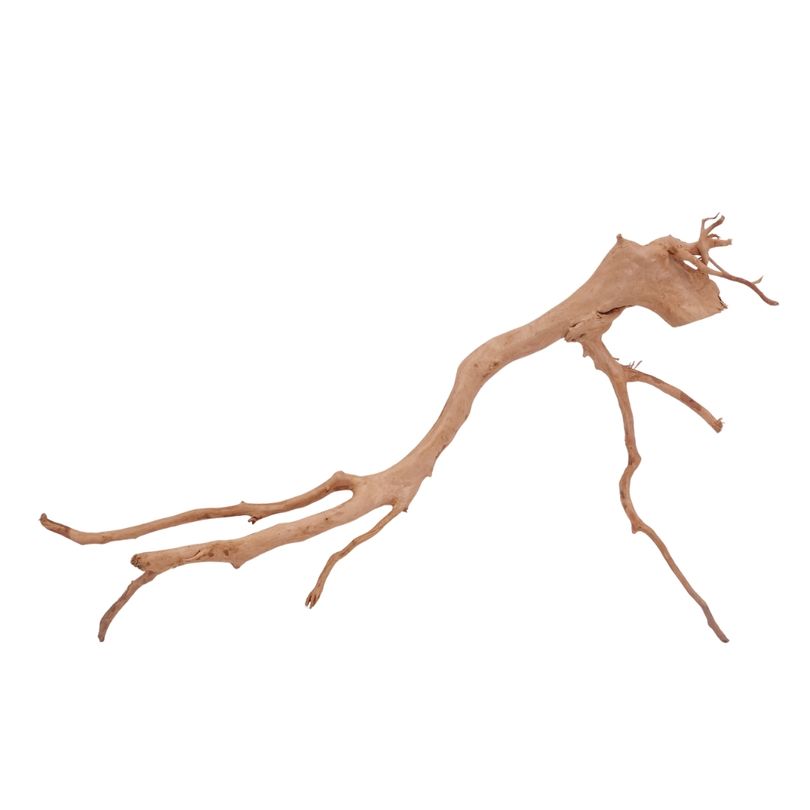 XL Moorkienwurzel Nr.3970 Fingerwurzel Echtholz Deko Aquascaping