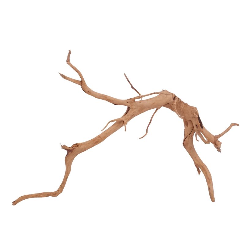 XL Moorkienwurzel Nr.3973 Fingerwurzel Echtholz Deko Aquascaping