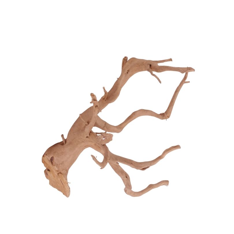 XL Moorkienwurzel Nr.3974 Fingerwurzel Echtholz Deko Aquascaping 