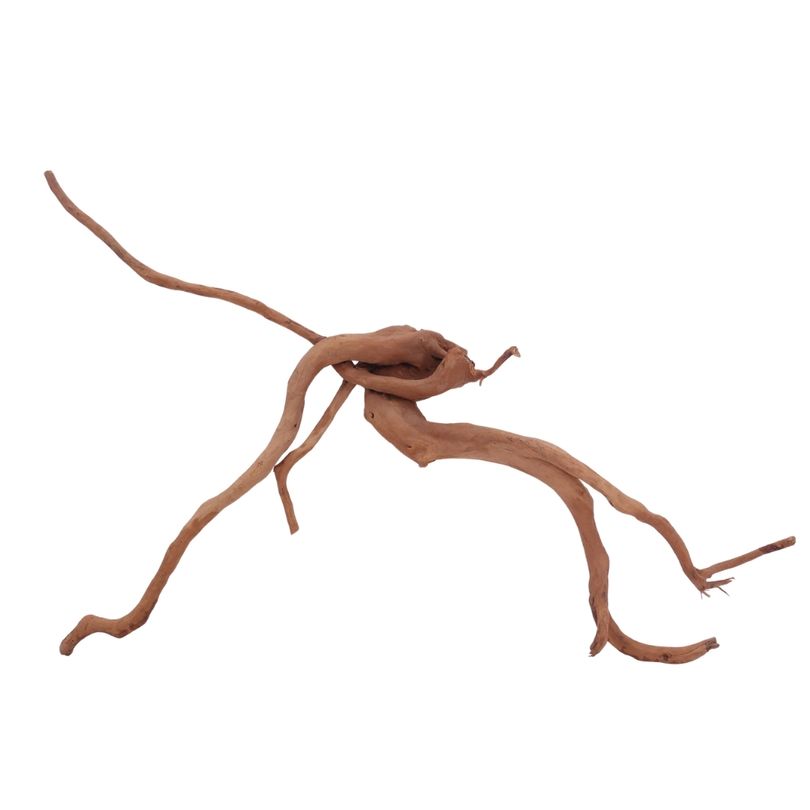 XL Moorkienwurzel Nr.3987 Fingerwurzel Echtholz Deko Aquascaping 