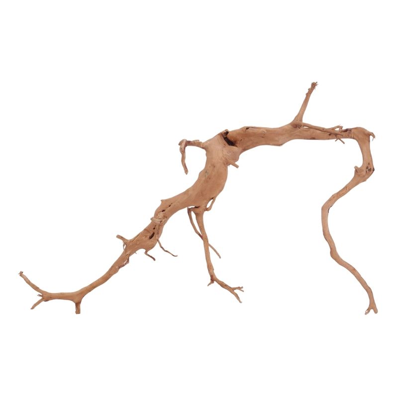 XL Moorkienwurzel Nr.3991 Fingerwurzel Echtholz Deko Aquascaping 