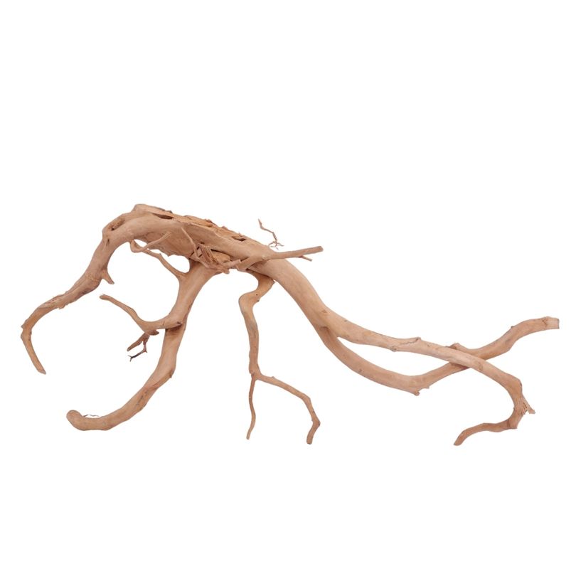 XL Moorkienwurzel Nr.3993 Fingerwurzel Echtholz Deko Aquascaping 