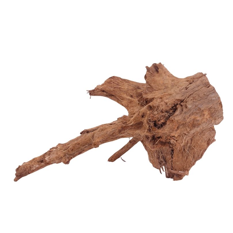 L Mangrovenwurzel Nr.4008 Holz Deko Aquascaping