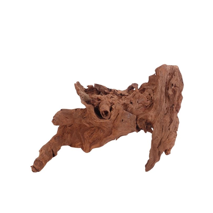L Mangrovenwurzel Nr.4019 Holz Deko Aquascaping