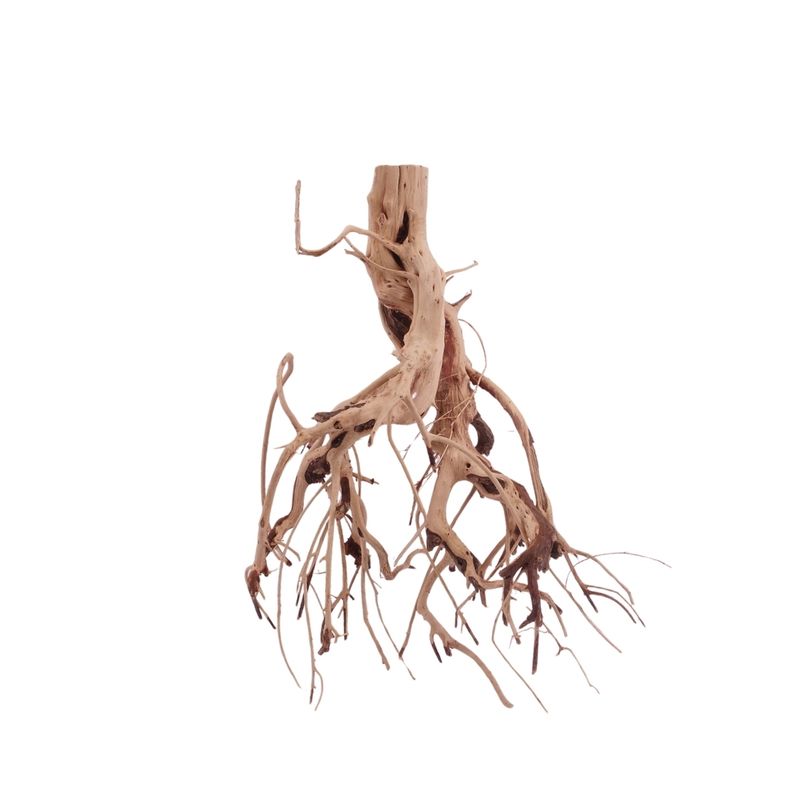 M Flowerwurzel Nr.4049 Wurzel Holz Aquarium Deko Aquascaping 