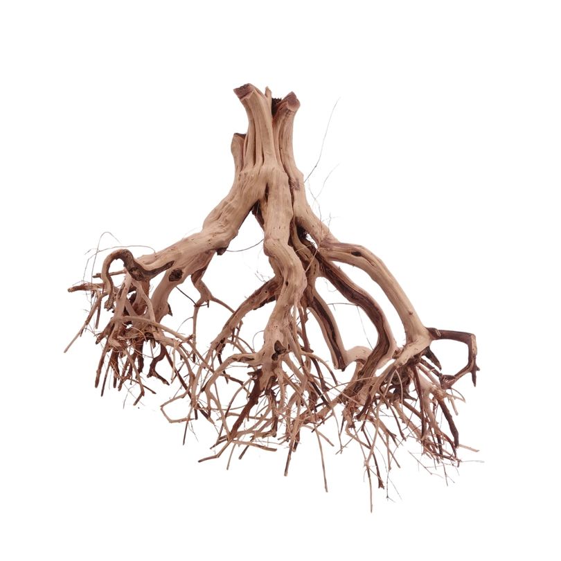 L Flowerwurzel Nr.4099 Wurzel Holz Aquarium Deko Aquascaping 