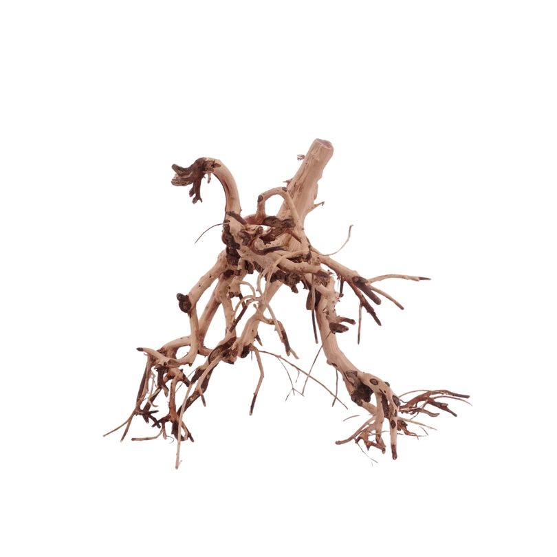 M Flowerwurzel Nr.4051 Wurzel Holz Aquarium Deko Aquascaping 