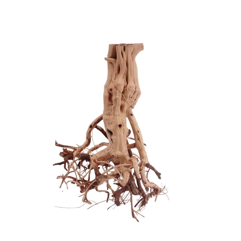 M Flowerwurzel Nr.4052 Wurzel Holz Aquarium Deko Aquascaping 