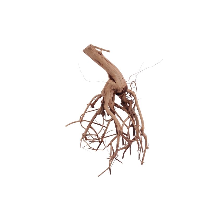 M Flowerwurzel Nr.4055 Wurzel Holz Aquarium Deko Aquascaping 