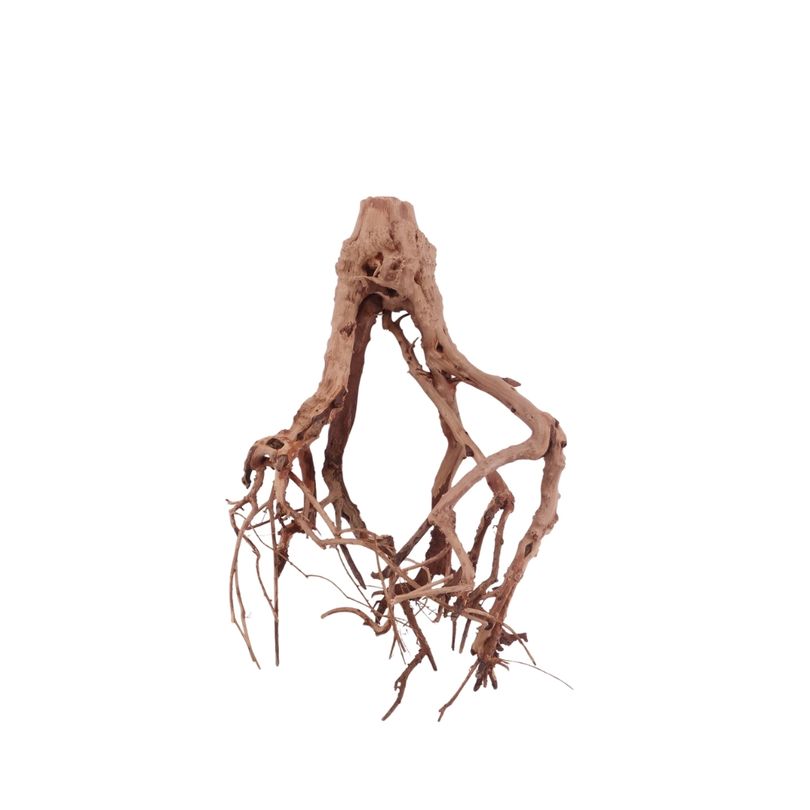 M Flowerwurzel Nr.4056 Wurzel Holz Aquarium Deko Aquascaping 