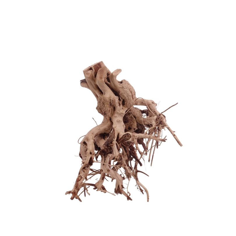 M Flowerwurzel Nr.4058 Wurzel Holz Aquarium Deko Aquascaping 