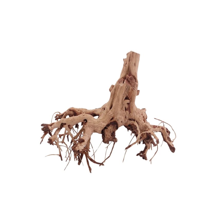 M Flowerwurzel Nr.4061 Wurzel Holz Aquarium Deko Aquascaping 