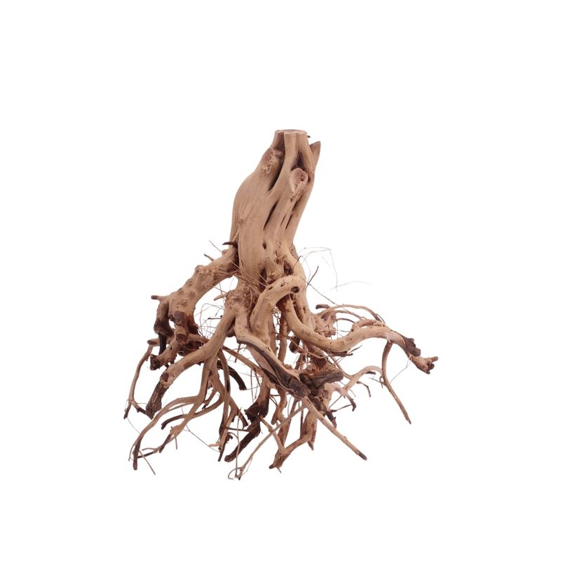 M Flowerwurzel Nr.4062 Wurzel Holz Aquarium Deko Aquascaping 