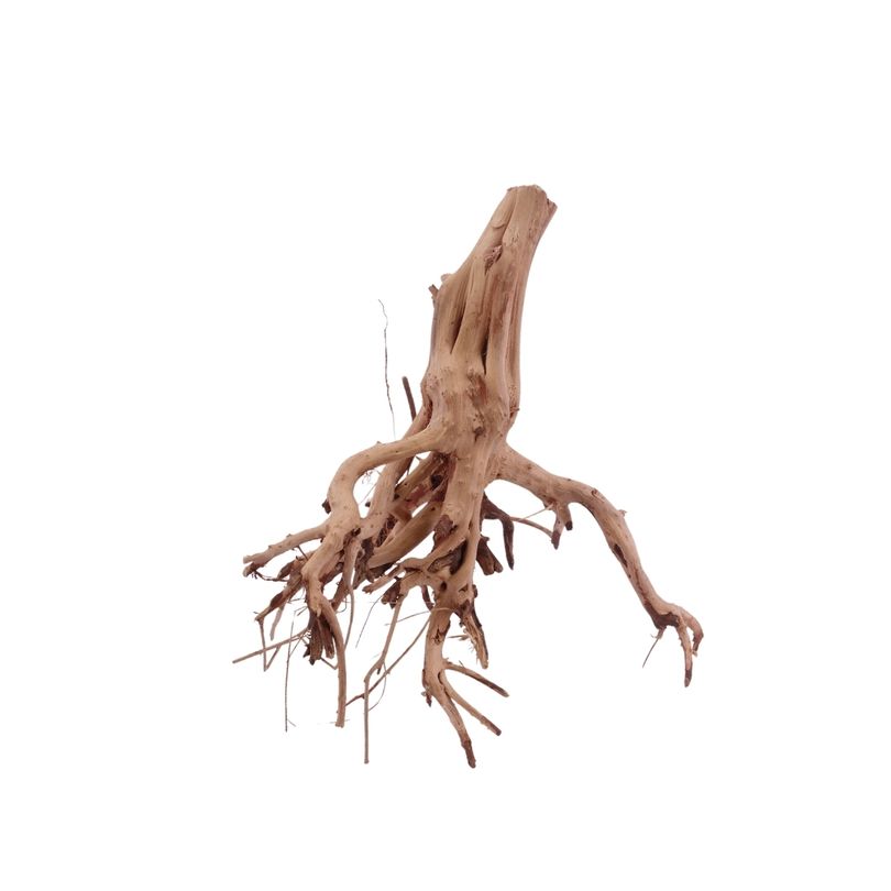 M Flowerwurzel Nr.4068 Wurzel Holz Aquarium Deko Aquascaping 