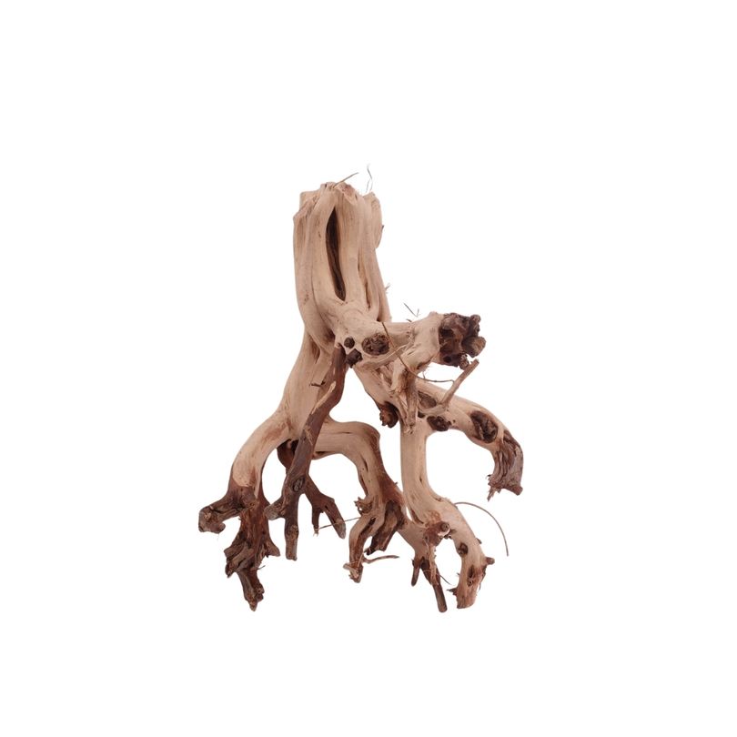 M Flowerwurzel Nr.4069 Wurzel Holz Aquarium Deko Aquascaping 