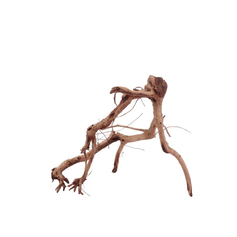 M Flowerwurzel Nr.4070 Wurzel Holz Aquarium Deko Aquascaping 