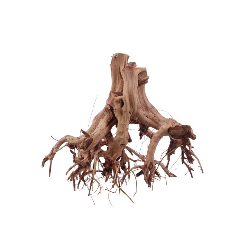 M Flowerwurzel Nr.4072 Wurzel Holz Aquarium Deko Aquascaping 