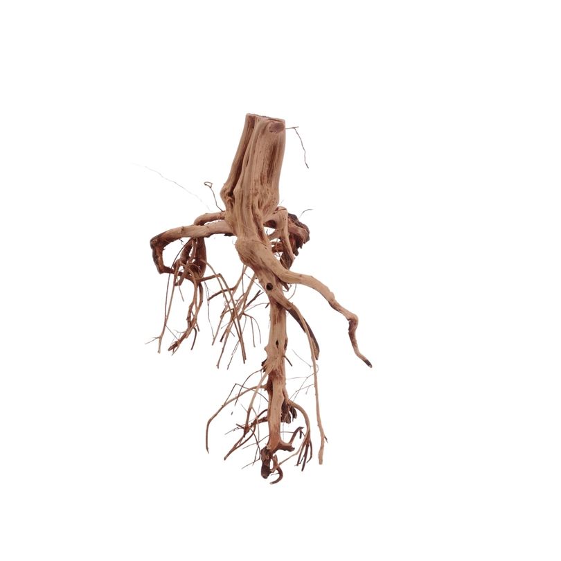 M Flowerwurzel Nr.4073 Wurzel Holz Aquarium Deko Aquascaping 