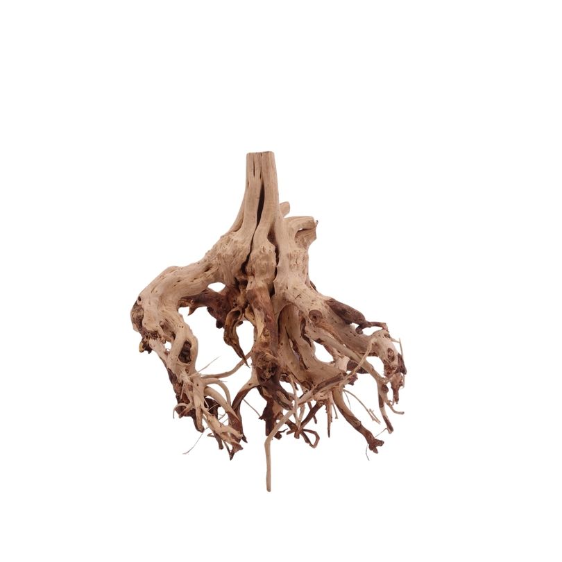 M Flowerwurzel Nr.4075 Wurzel Holz Aquarium Deko Aquascaping 