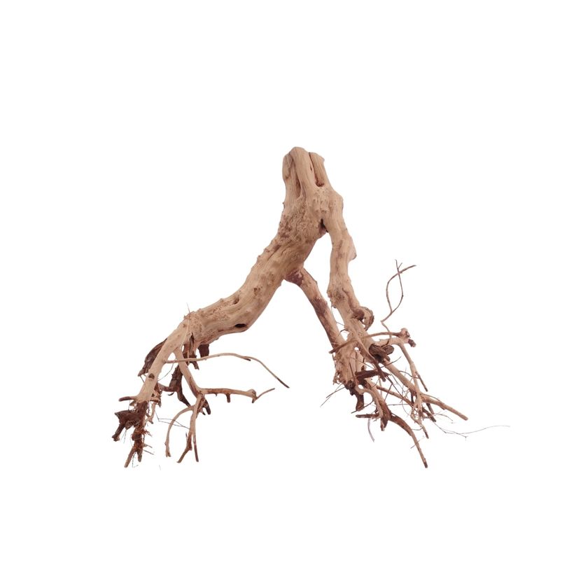 M Flowerwurzel Nr.4076 Wurzel Holz Aquarium Deko Aquascaping 