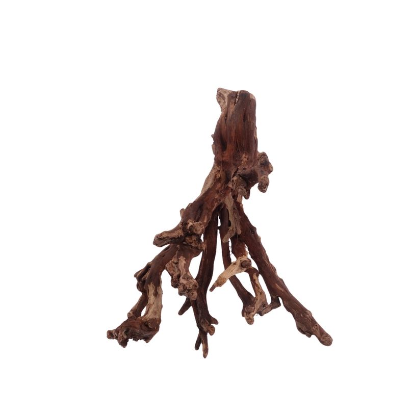 M Flowerwurzel Nr.4077 Wurzel Holz Aquarium Deko Aquascaping 
