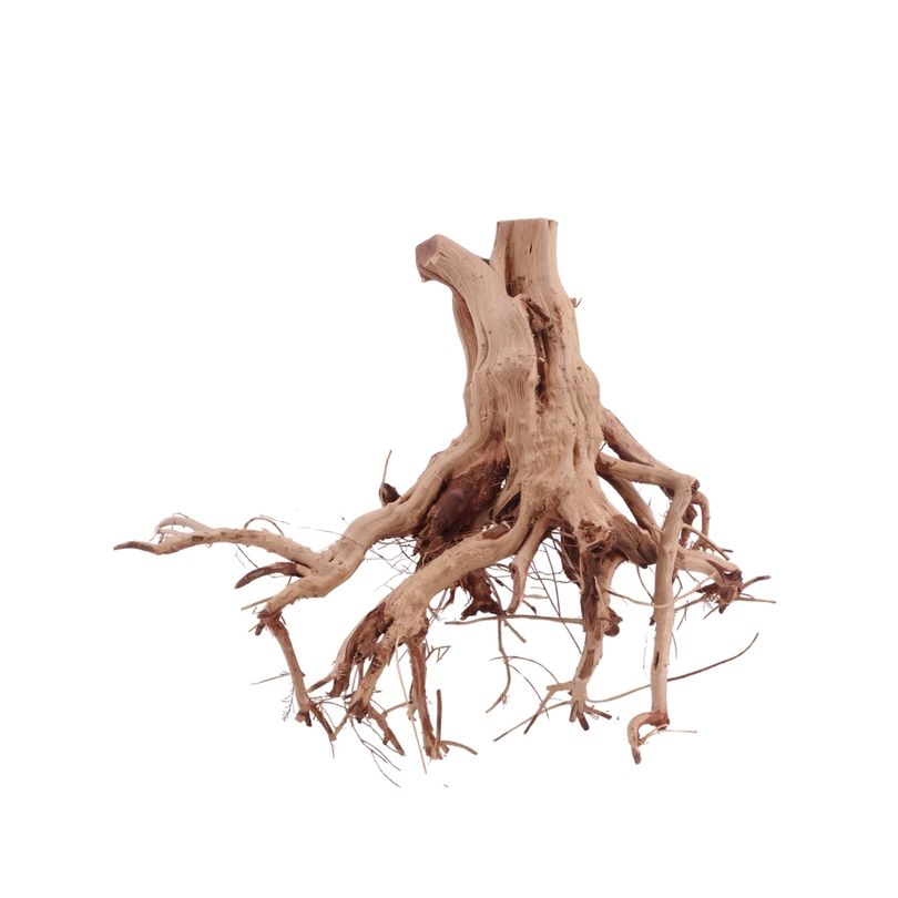 M Flowerwurzel Nr.4078 Wurzel Holz Aquarium Deko Aquascaping 