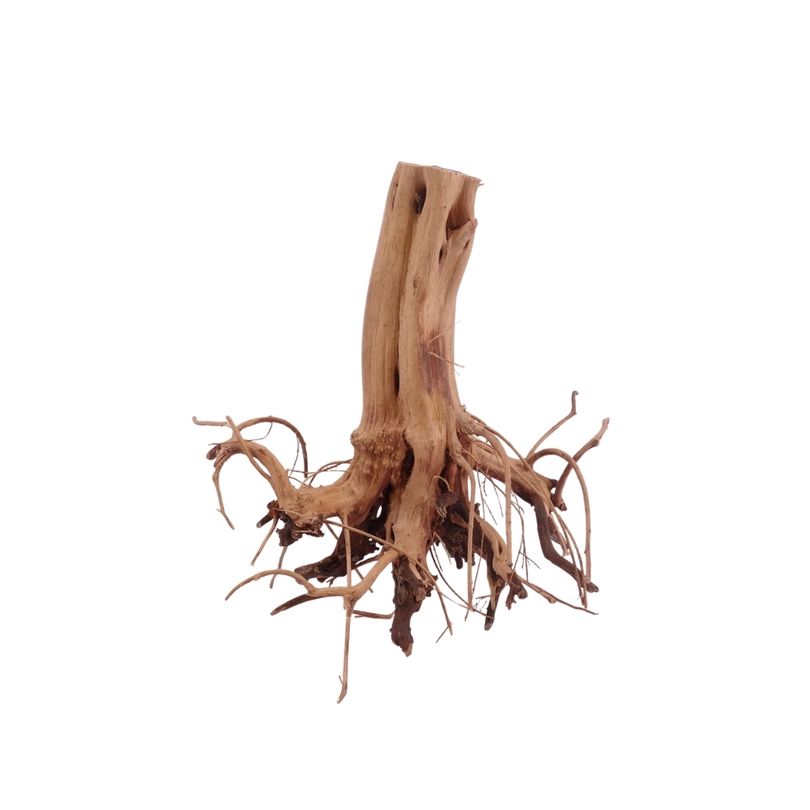 M Flowerwurzel Nr.4080 Wurzel Holz Aquarium Deko Aquascaping 