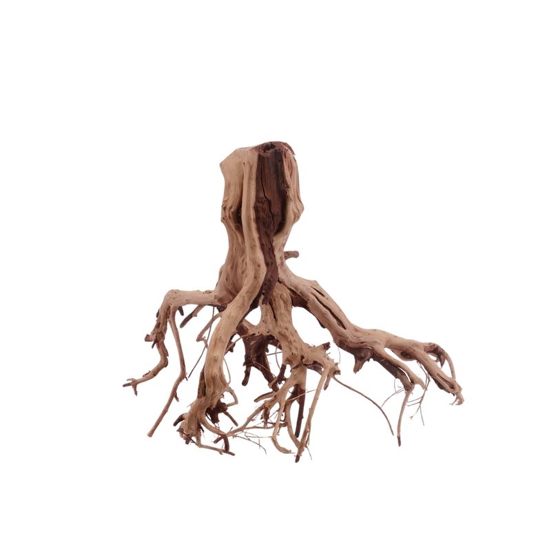 M Flowerwurzel Nr.4081 Wurzel Holz Aquarium Deko Aquascaping 