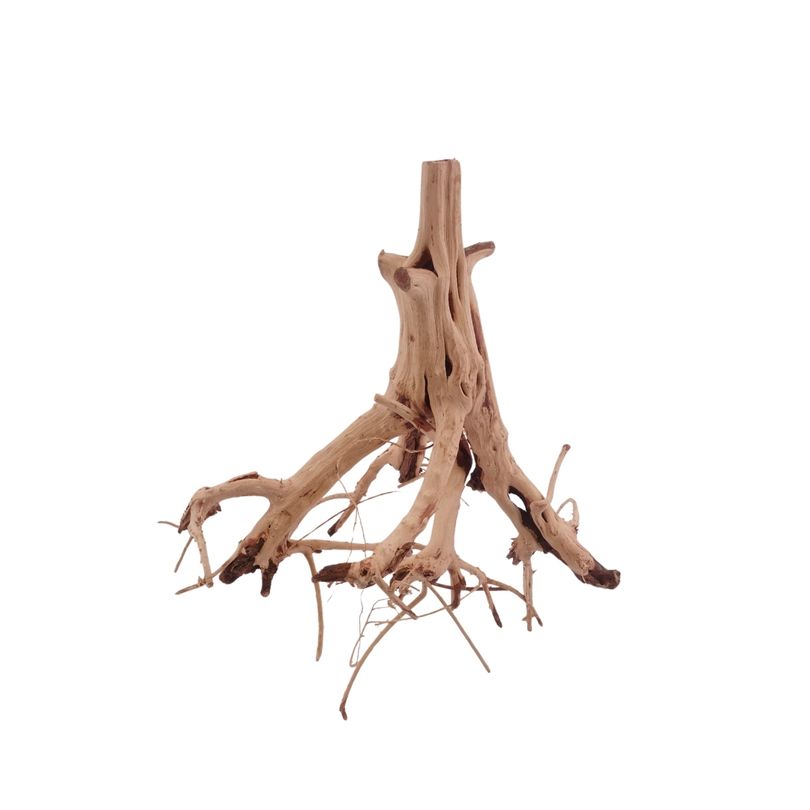 M Flowerwurzel Nr.4083 Wurzel Holz Aquarium Deko Aquascaping 