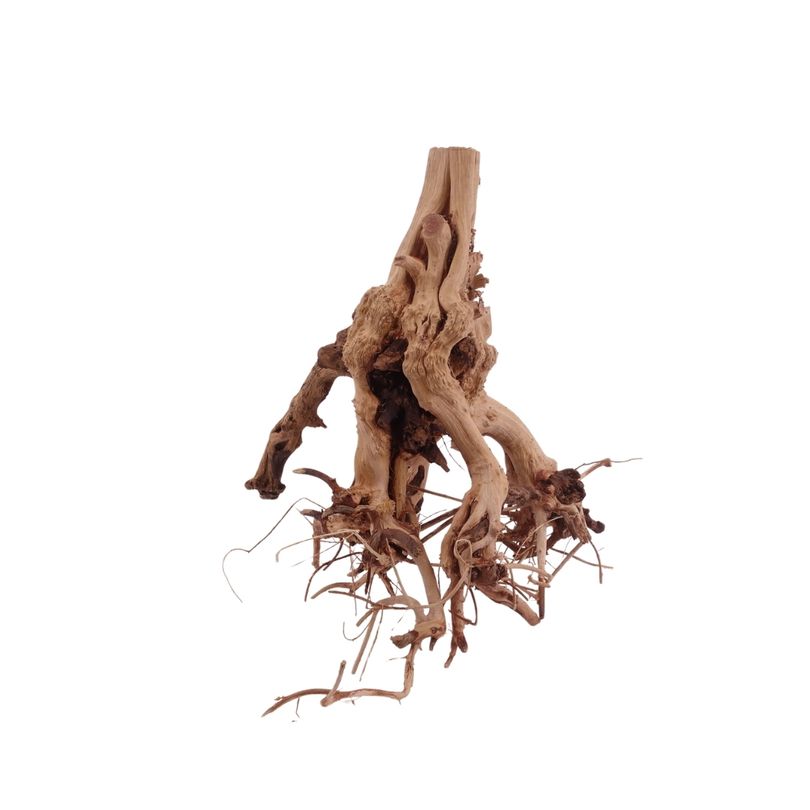 M Flowerwurzel Nr.4084 Wurzel Holz Aquarium Deko Aquascaping 