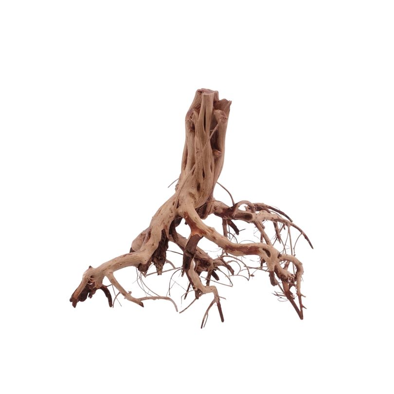 M Flowerwurzel Nr.4085 Wurzel Holz Aquarium Deko Aquascaping 