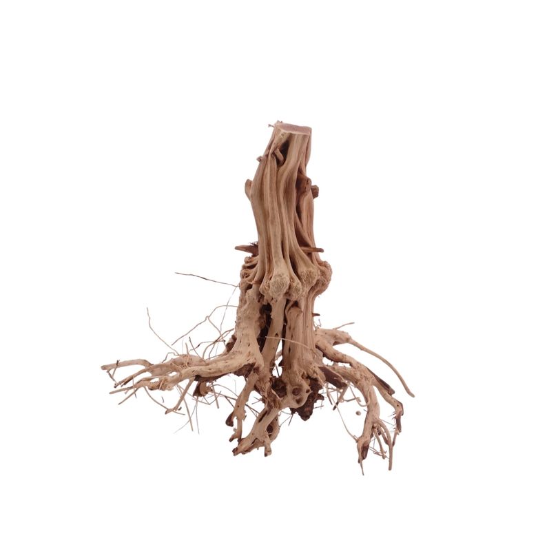 M Flowerwurzel Nr.4086 Wurzel Holz Aquarium Deko Aquascaping 