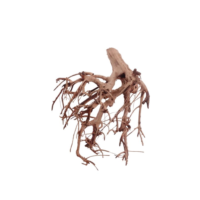M Flowerwurzel Nr.4089 Wurzel Holz Aquarium Deko Aquascaping 
