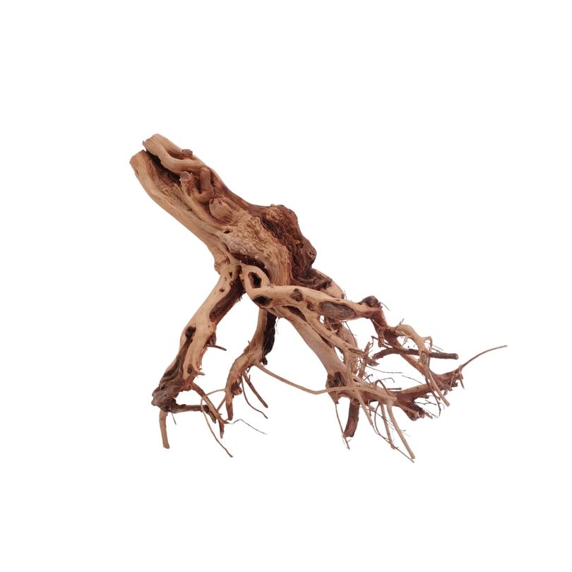 M Flowerwurzel Nr.4093 Wurzel Holz Aquarium Deko Aquascaping 