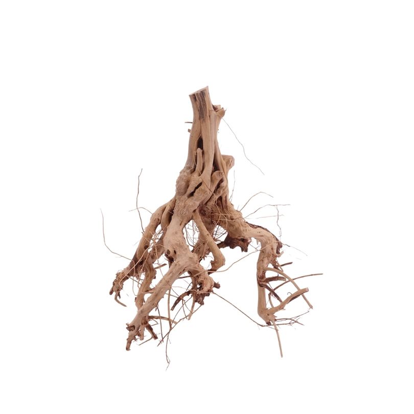 M Flowerwurzel Nr.4098 Wurzel Holz Aquarium Deko Aquascaping 