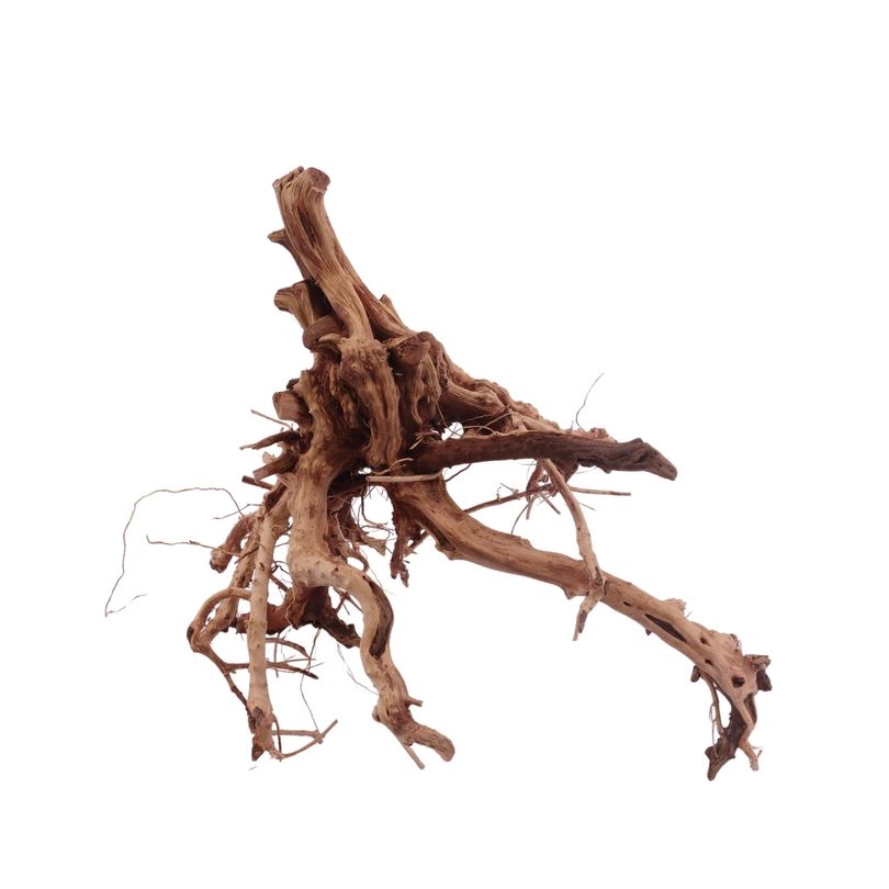 L Flowerwurzel Nr.4101 Wurzel Holz Aquarium Deko Aquascaping 