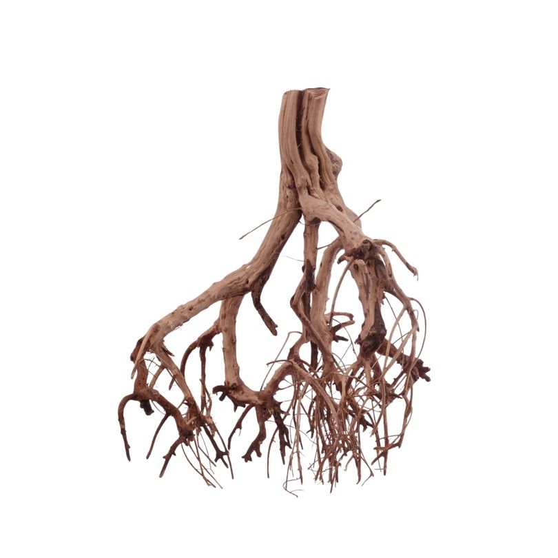 L Flowerwurzel Nr.4102 Wurzel Holz Aquarium Deko Aquascaping 