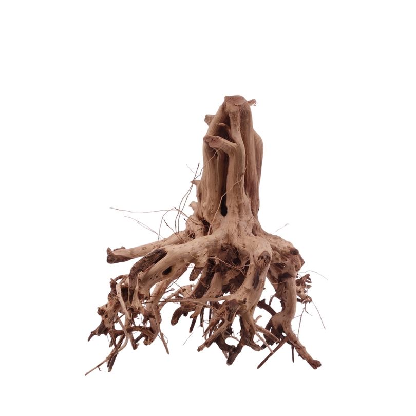 L Flowerwurzel Nr.4103 Wurzel Holz Aquarium Deko Aquascaping 