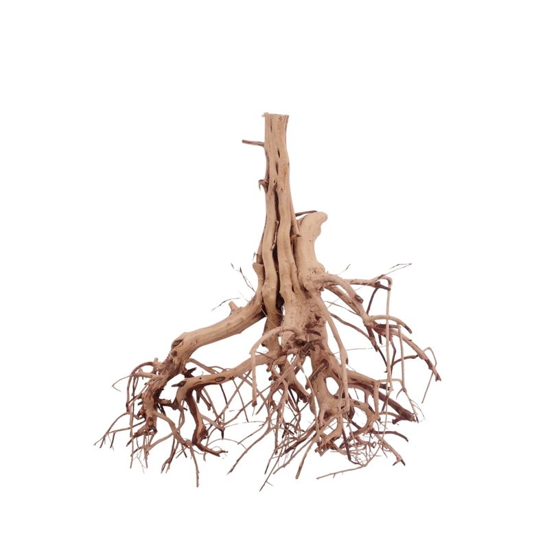 L Flowerwurzel Nr.4104 Wurzel Holz Aquarium Deko Aquascaping 
