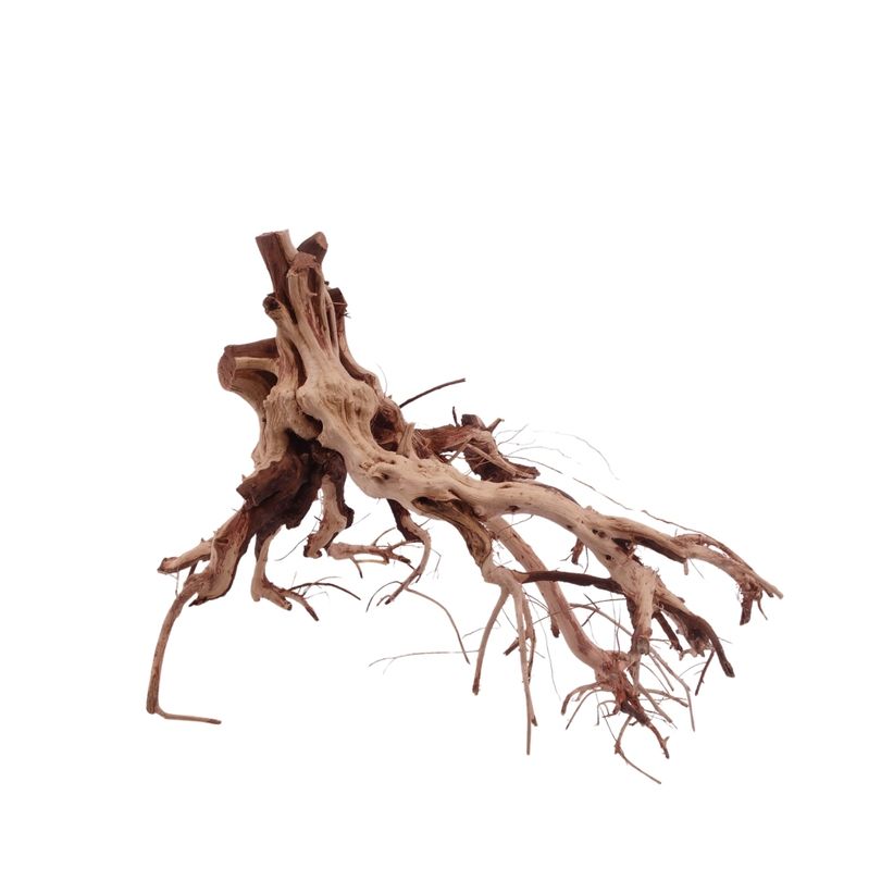L Flowerwurzel Nr.4105 Wurzel Holz Aquarium Deko Aquascaping 